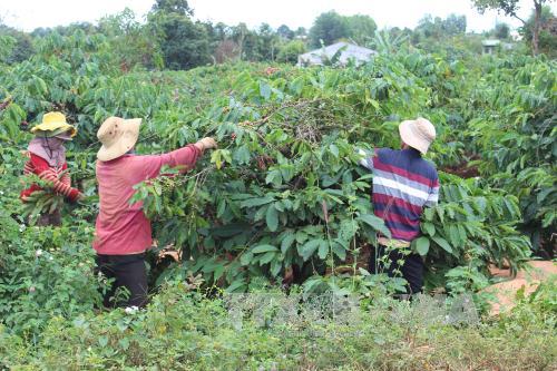 Những người được quyền chuyển nhượng đất hộ gia đình