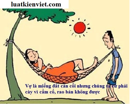 Sự thật một số điều “mọi người tưởng” về nhà đất