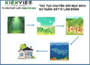 Thủ tục chuyển đổi mục đích sử dụng đất ở Lâm Đồng