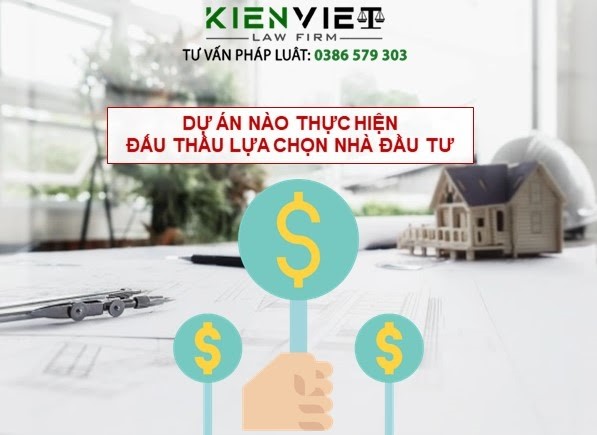 Dự án nào thực hiện đấu thầu lựa chọn nhà đầu tư?