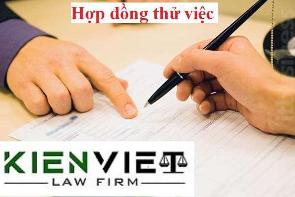 Hợp đồng thử việc có bắt buộc không?