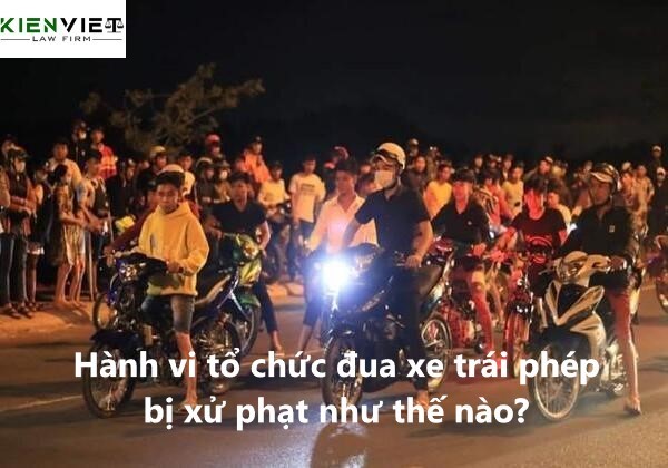 Hành vi tổ chức đua xe trái phép bị xử phạt như thế nào?