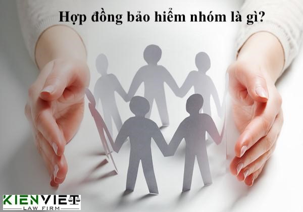 Hợp đồng bảo hiểm nhóm là gì