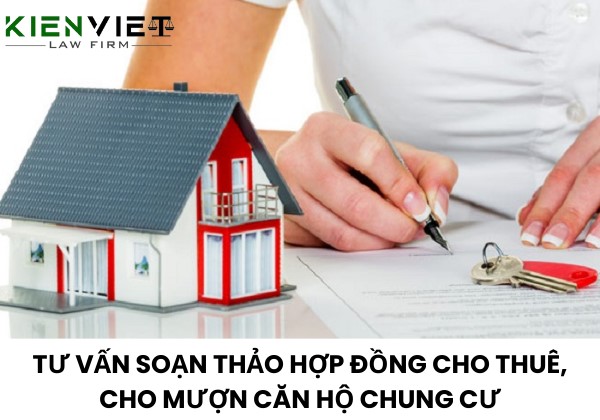 Dịch vụ soạn thảo hợp đồng cho thuê, cho mượn căn hộ chung cư