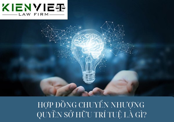 Hợp đồng chuyển nhượng quyền sở hữu trí tuệ