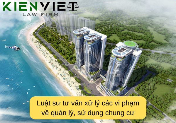 tư vấn xử lý các vi phạm về quản lý, sử dụng chung cư