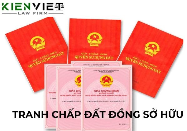 Giải quyết tranh chấp đất đồng sở hữu