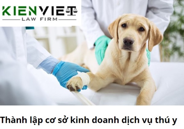 Tư vấn thành lập cơ sở kinh doanh dịch vụ thú y