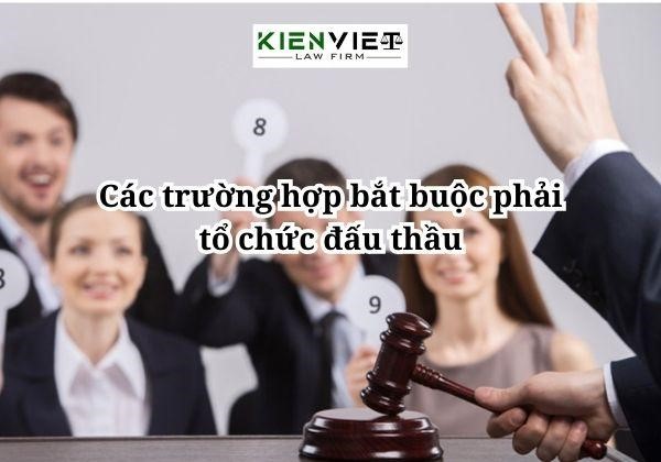 Trường hợp bắt buộc phải tổ chức đấu thầu