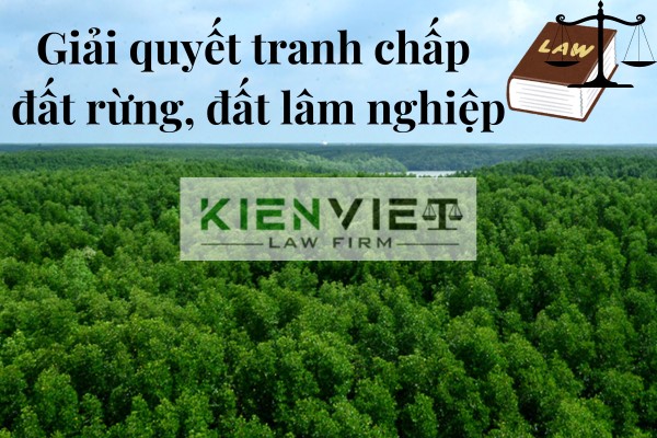 Giải quyết tranh chấp đất rừng, đất lâm nghiệp