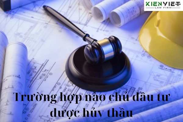 Trường hợp chủ đầu tư được hủy thầu