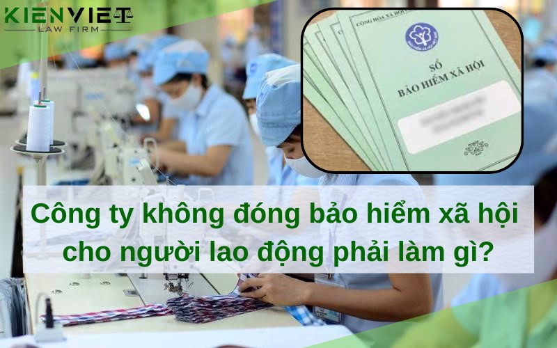 Công ty không đóng BHXH, người lao động phải làm gì