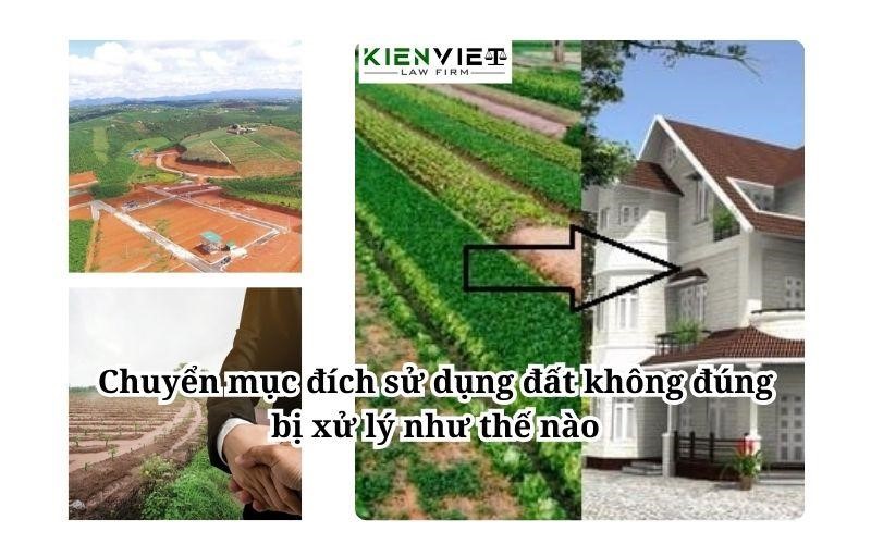 Chuyển mục đích sử dụng đất không đúng bị xử lý như thế nào