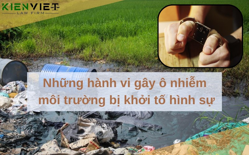 Những hành vi gây ô nhiễm môi trường bị khởi tố hình sự