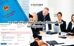 Tư vấn về lao động nước ngoài làm việc tại Việt Nam