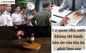 Cơ quan nhà nước không thi hành bản án của tòa án, phải làm sao