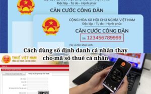 Cách dùng mã định danh cá nhân thay cho mã số thuế