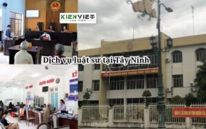 Dịch vụ luật sư Tây Ninh